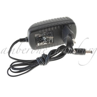 Original Netzteil Power Adapter FYC0302000H 3,0V 2,0A