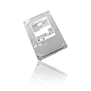 Festplatte Hitachi DS5SAC320 320GB SATA 3,5" für PCs und HDD-Rekorder