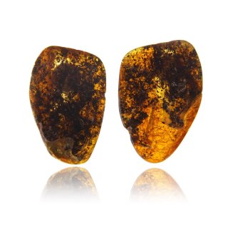 Ohrringe Ohrstecker earrings Bernstein Amber Silber 925 Unikat