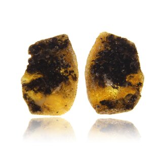 Ohrringe Ohrstecker earrings Bernstein Amber Silber 925 Unikat