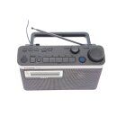 Panasonic RF-U350 Tragbares Radio