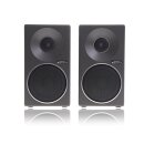 Technics SB-F1 Lautsprecher Boxen Speaker