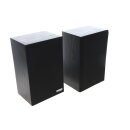 Bose Interaudio 2000 XL Lautsprecher