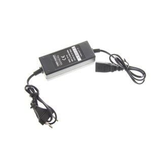 Original Netzteil Tanneng TN-12V Output 12V-400mA für Akku-Sprühgerät