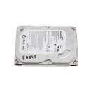 Panasonic DMR-EH545 Festplatte Seagate ST3250312CS 250GB