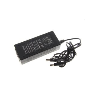 Original LI-ion Charger JN-63W-294200 Netzteil Output: 12 V DC  5A Stecker 5,5x2,5mm x2